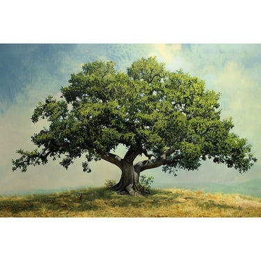 Tree Oil Canvas on Canvas